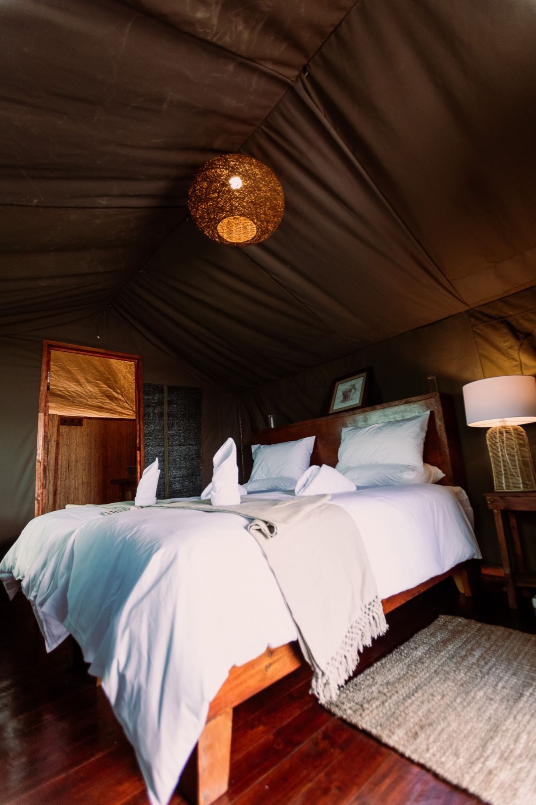 Photographie de l’immersion Afrique, Zimbabwe et Botswana