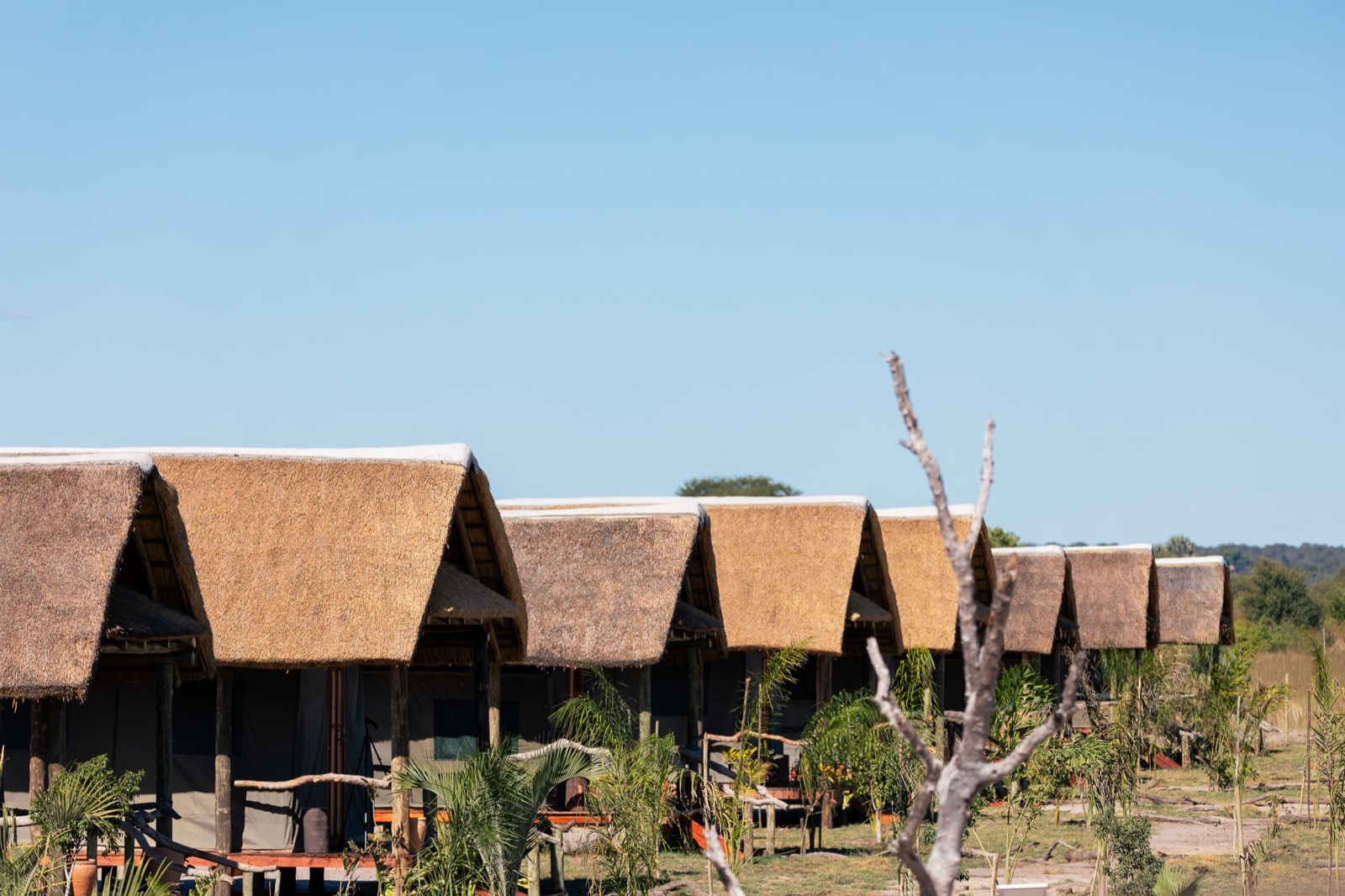 Tentes au toit de chaume, immersion Afrique 2027