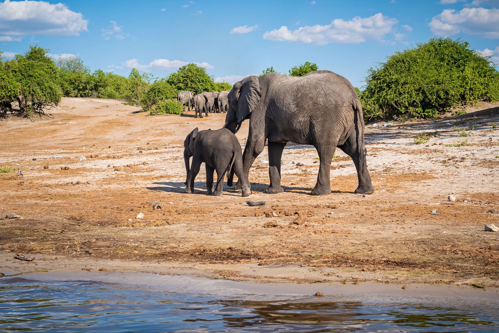 Photographie de l’immersion Afrique, Zimbabwe et Botswana