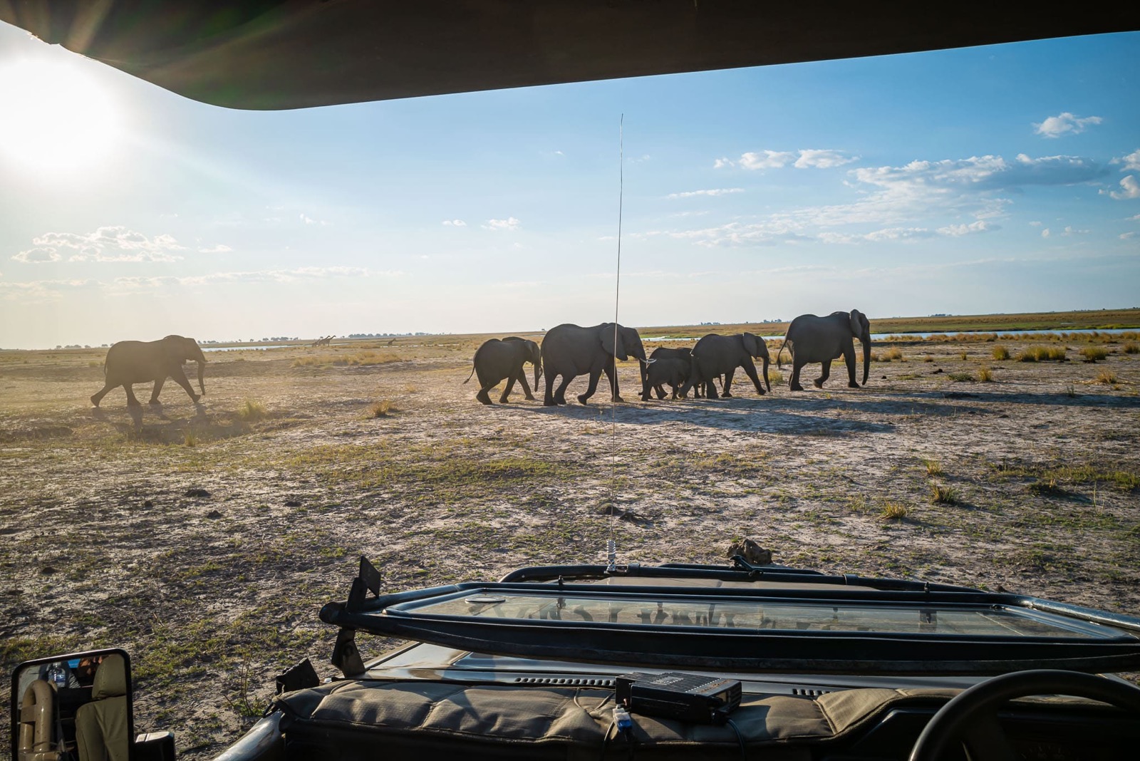 Photographie de l’immersion Afrique, Zimbabwe et Botswana