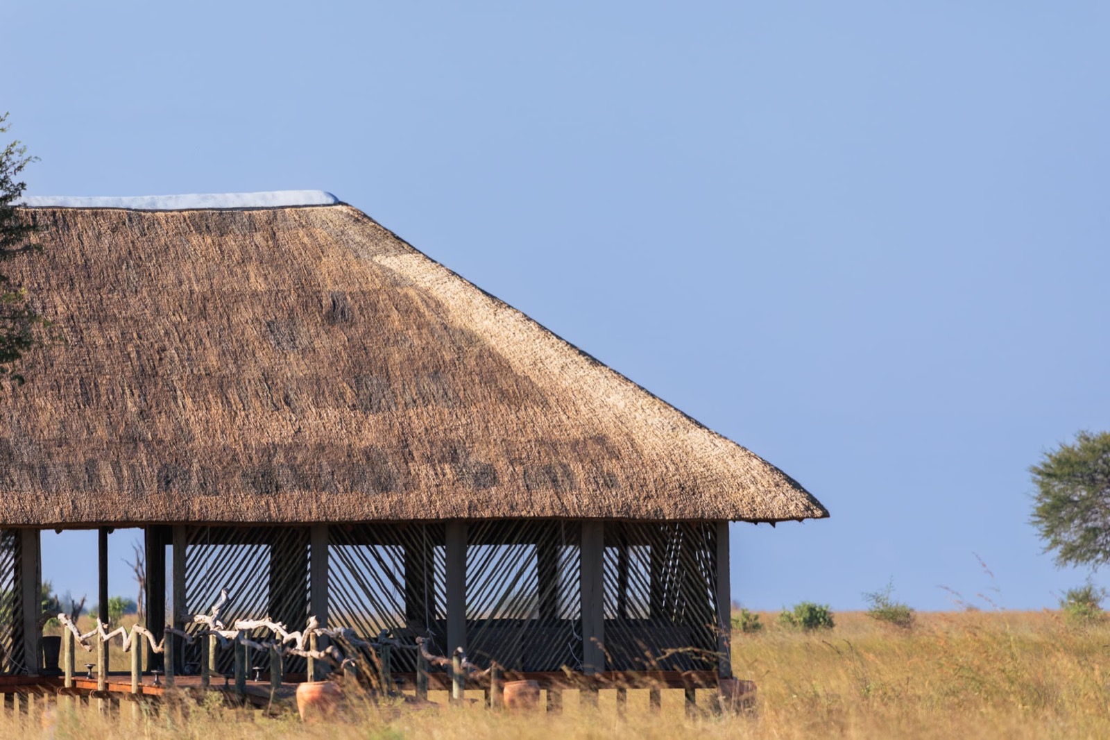 Photographie de l’immersion Afrique, Zimbabwe et Botswana
