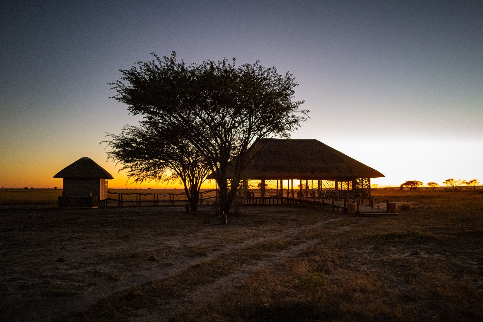 Photographie de l’immersion Afrique, Zimbabwe et Botswana