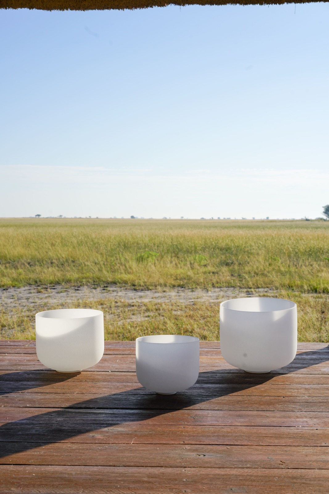 Photographie de l’immersion Afrique, Zimbabwe et Botswana