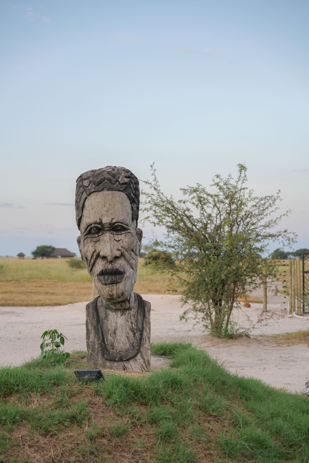 Photographie de l’immersion Afrique, Zimbabwe et Botswana