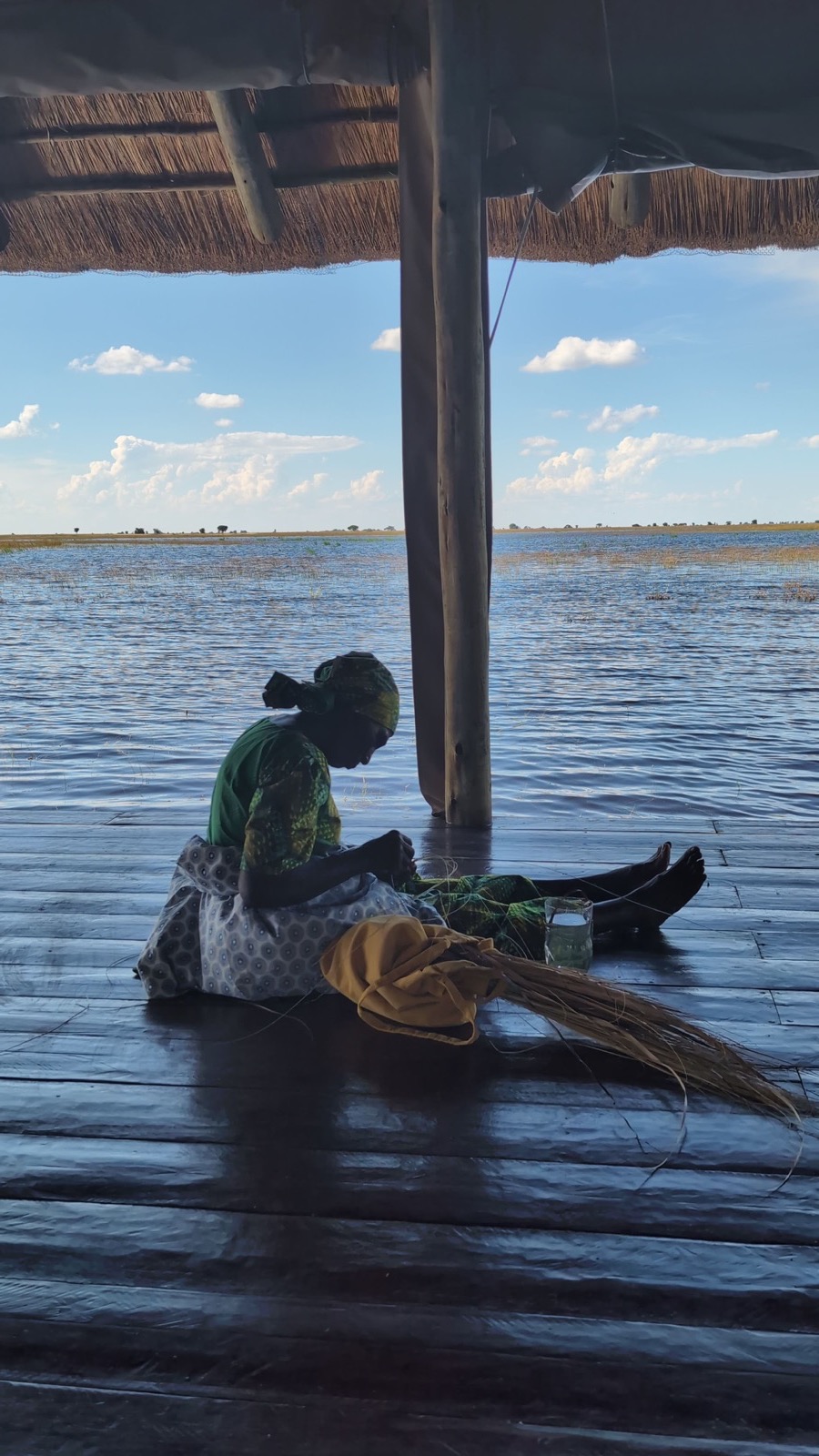 Photographie de l’immersion Afrique, Zimbabwe et Botswana