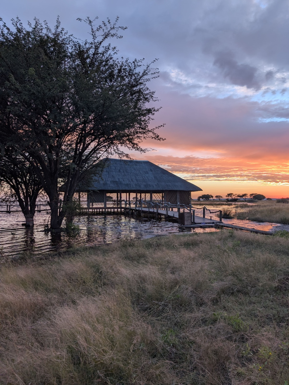 Photographie de l’immersion Afrique, Zimbabwe et Botswana