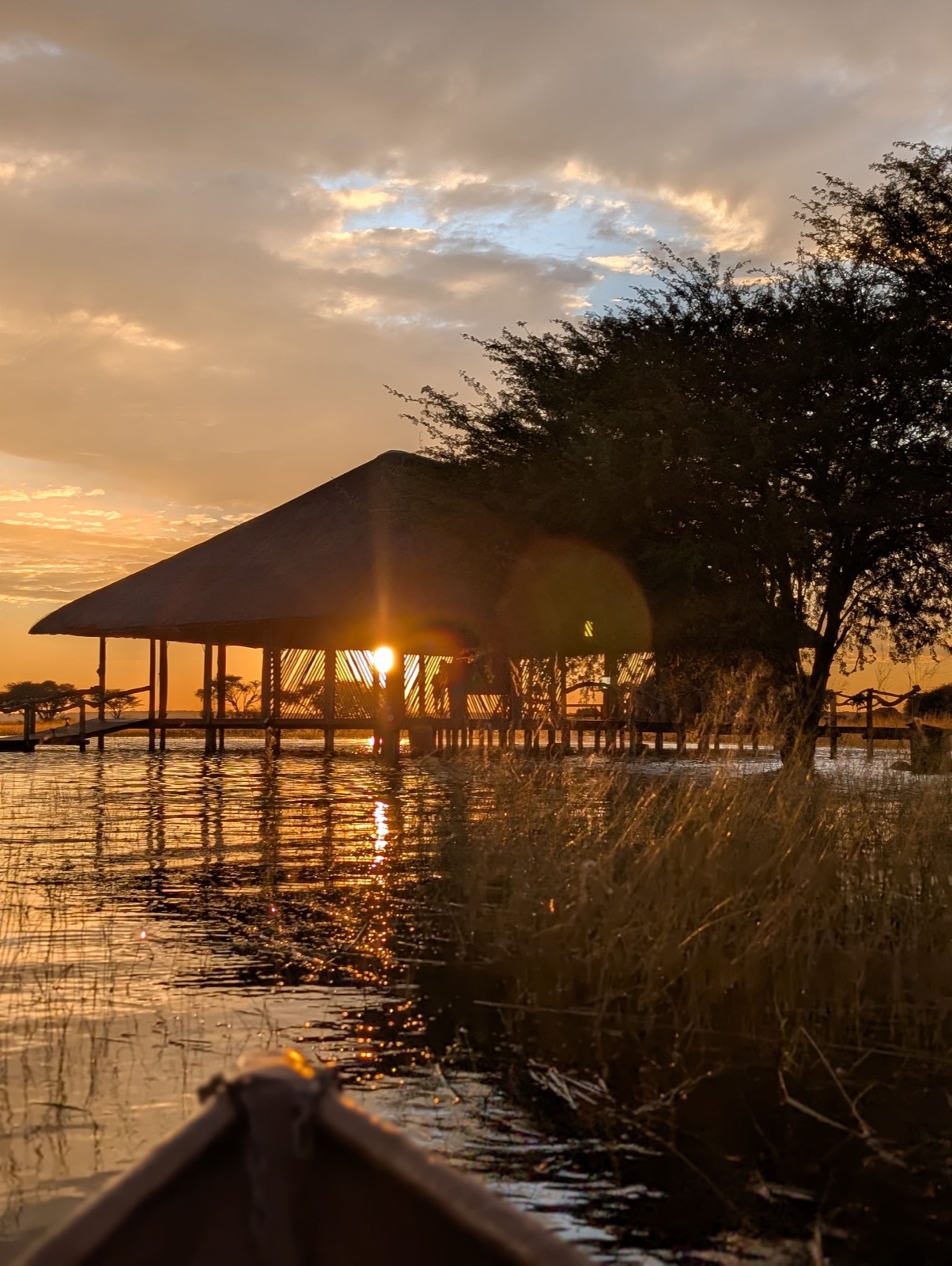 Photographie de l’immersion Afrique, Zimbabwe et Botswana