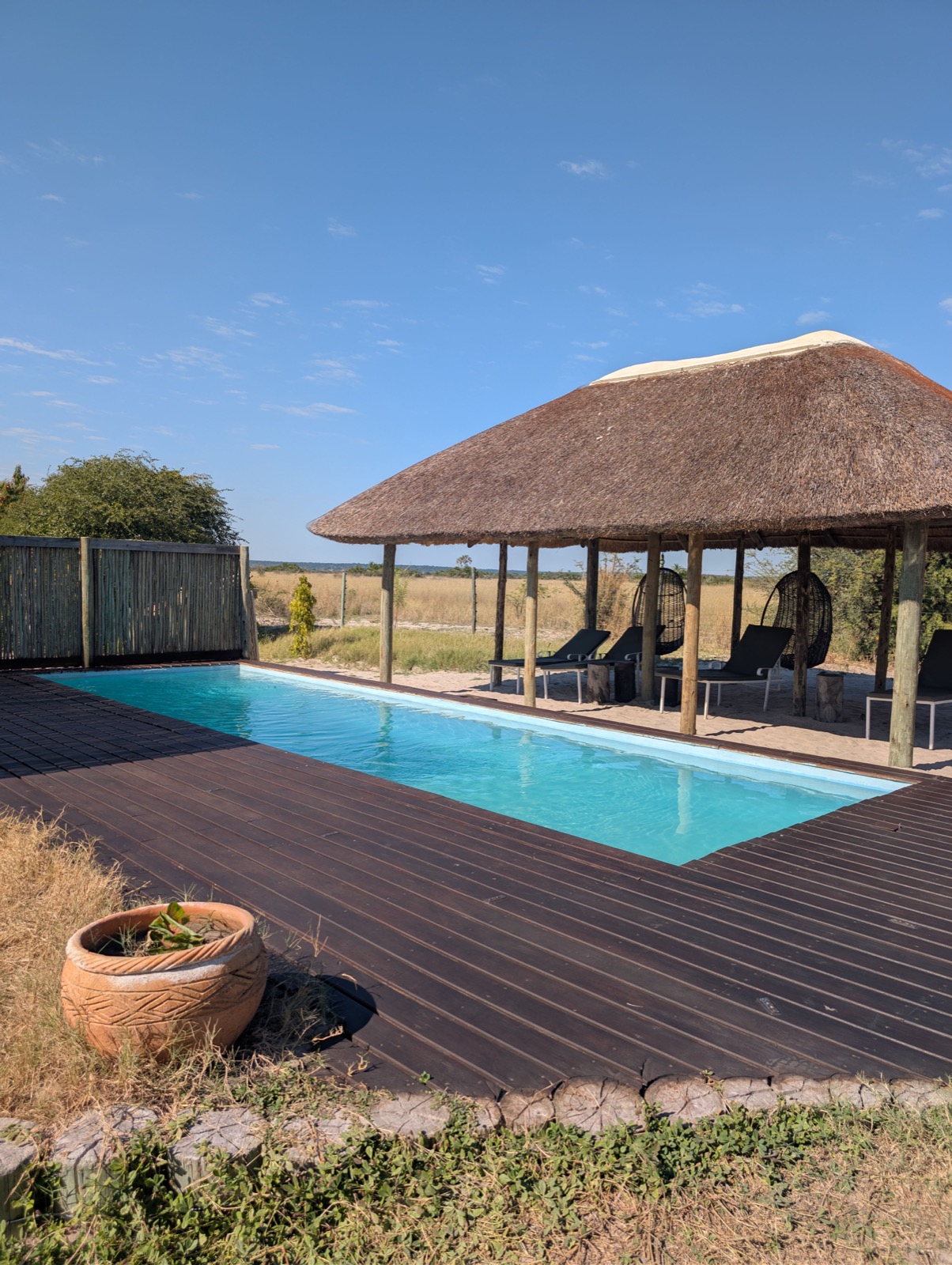 Photographie de l’immersion Afrique, Zimbabwe et Botswana